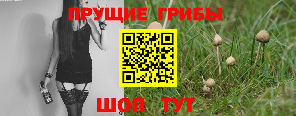 Псилоцибиновые грибы Magic Shrooms Алексин